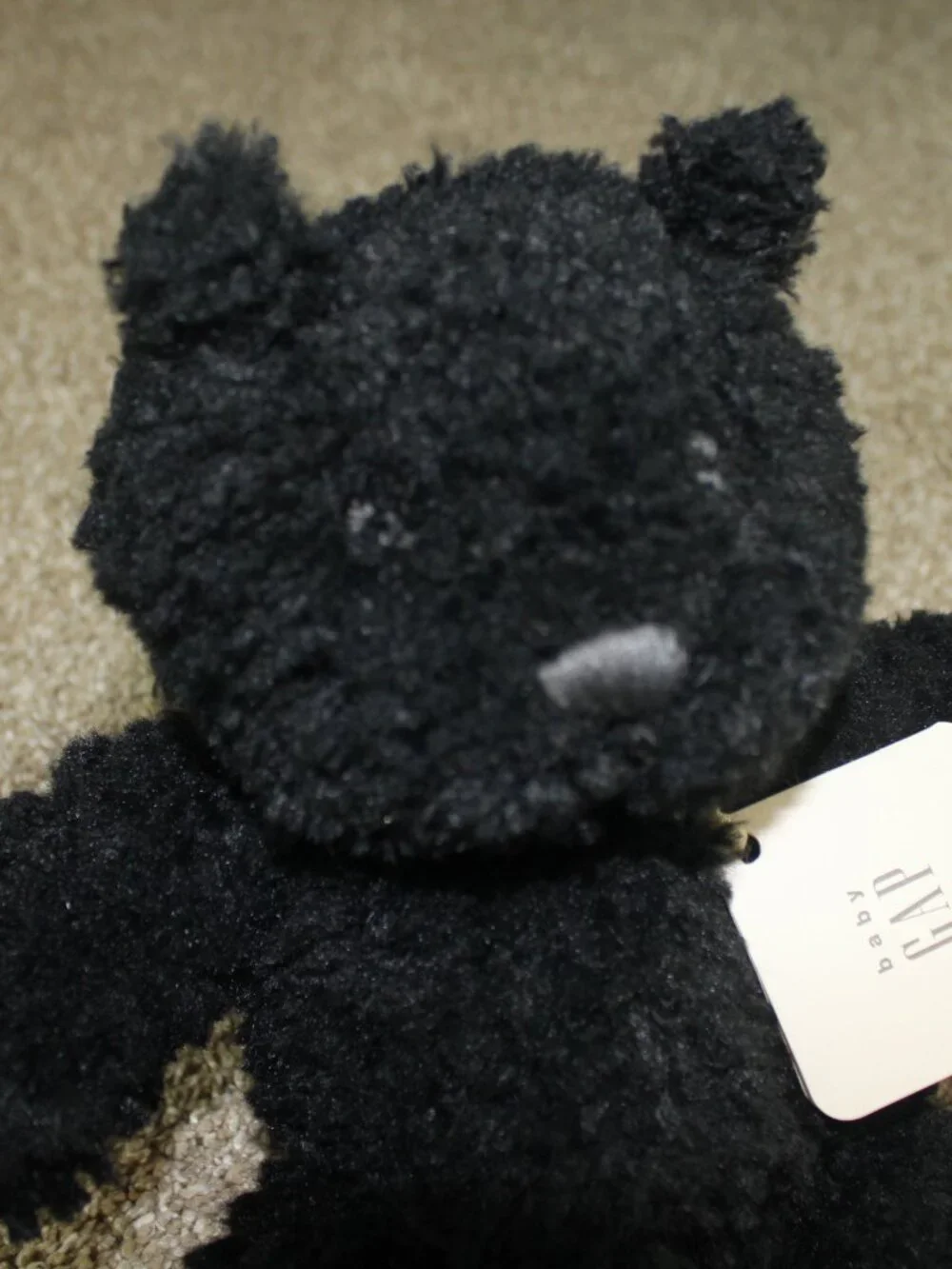 baby GAP Brannan Black Teddy Bear Plush Stuffed Animal Infant 11